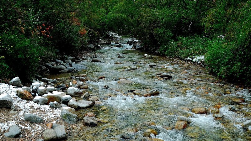 Stream in forest with snow