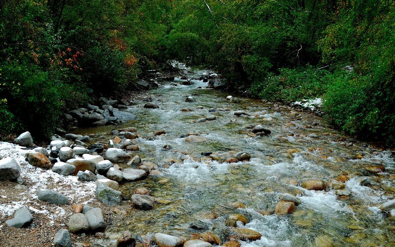 Stream in forest with snow