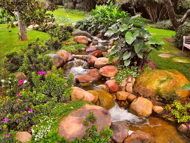Stream in Garden — Green, Serene, Afternoon, Photograph, Rocks, Plants