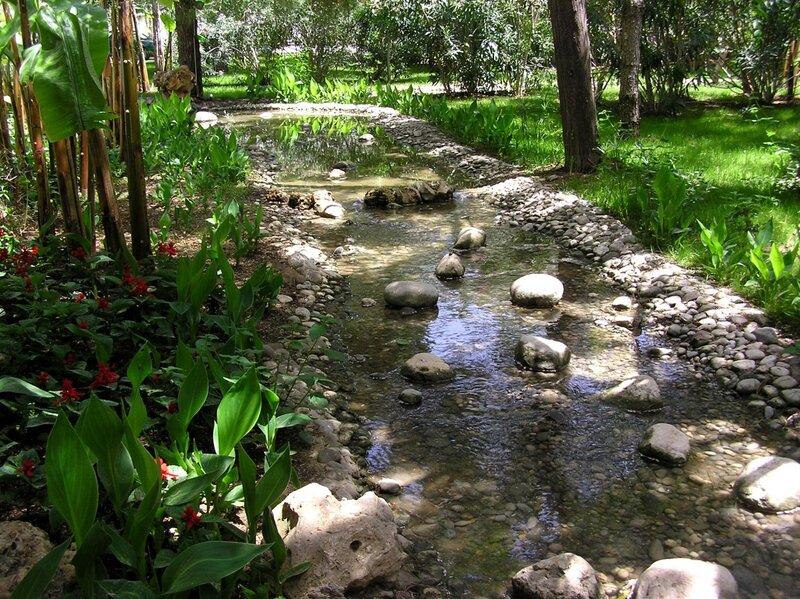 Stream in Garden — Green, Serene, Afternoon, Photograph, Rocks