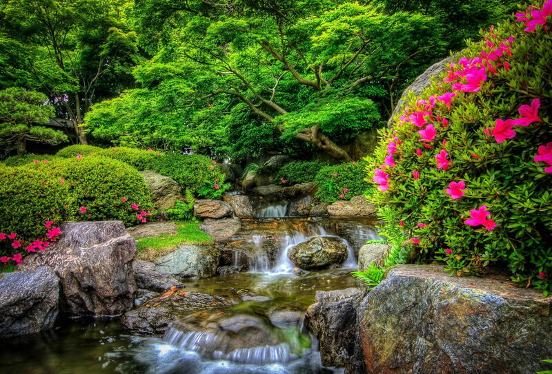 Stream in Garden — Green, Serene, Spring, Photograph, Flowers