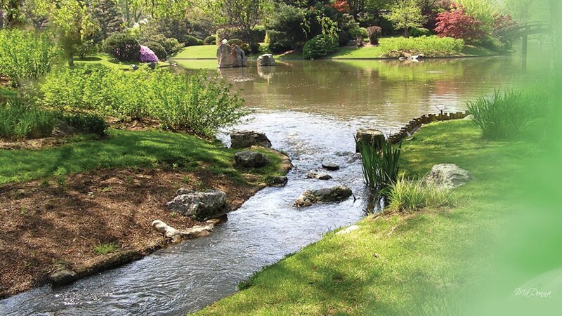 Stream in Garden — Green, Serene, Spring, Photograph