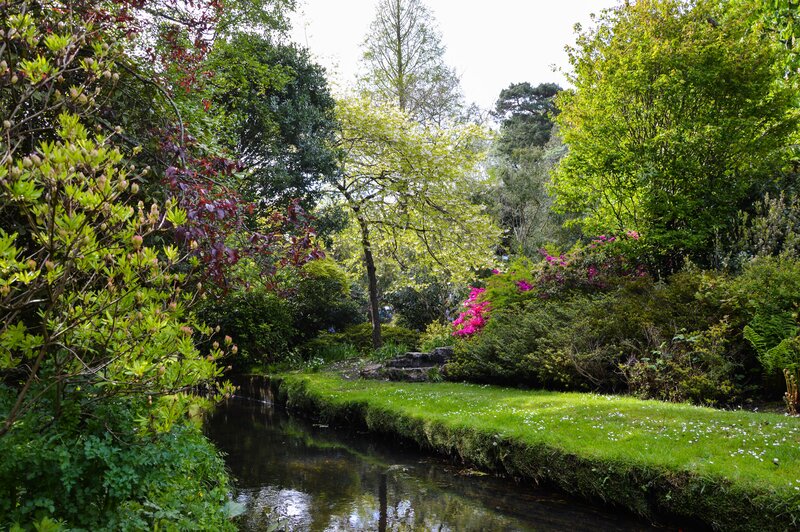 Stream in Garden — Green, Serene, Spring, Photograph, Trees
