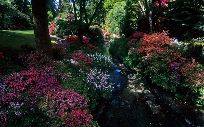Stream in Garden — Green