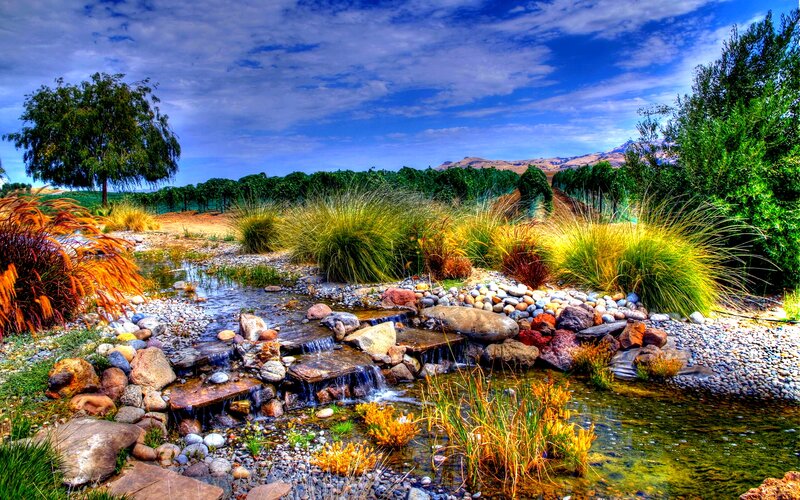 Stream in Garden Landscape