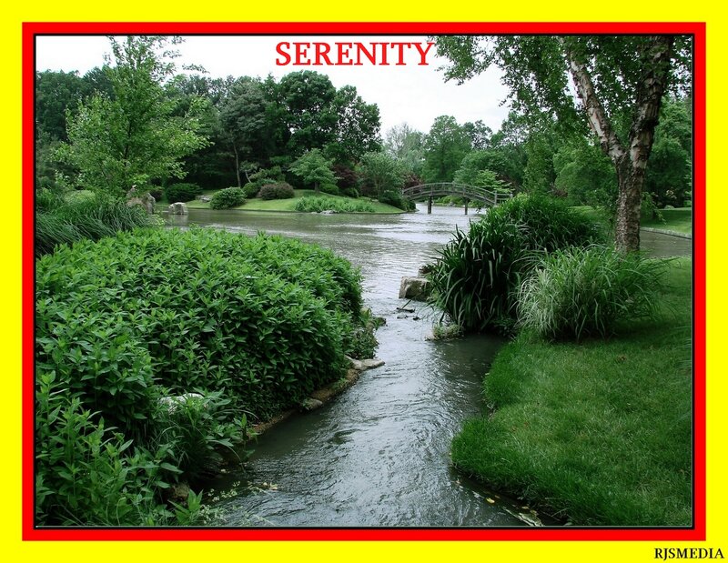 Stream in Garden Park