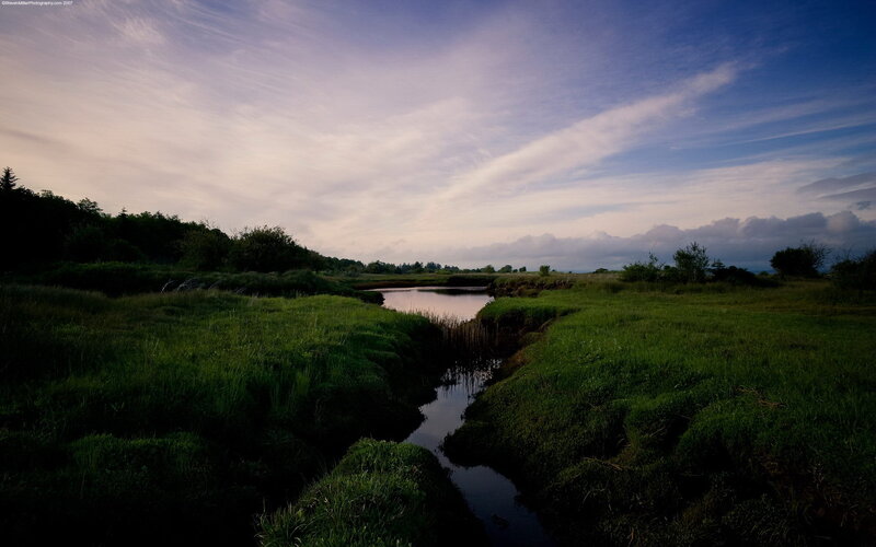 Stream in Grassy Field — Green, Serene, Sunset