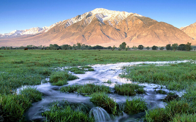 Stream in Grassy Field — Green
