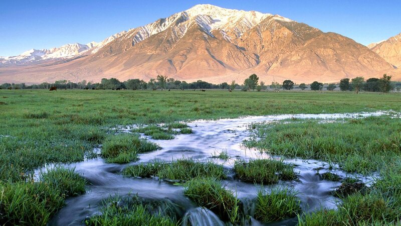 Stream in Grassy Field