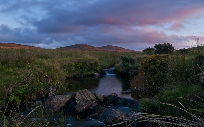 Stream in Grassy Landscape