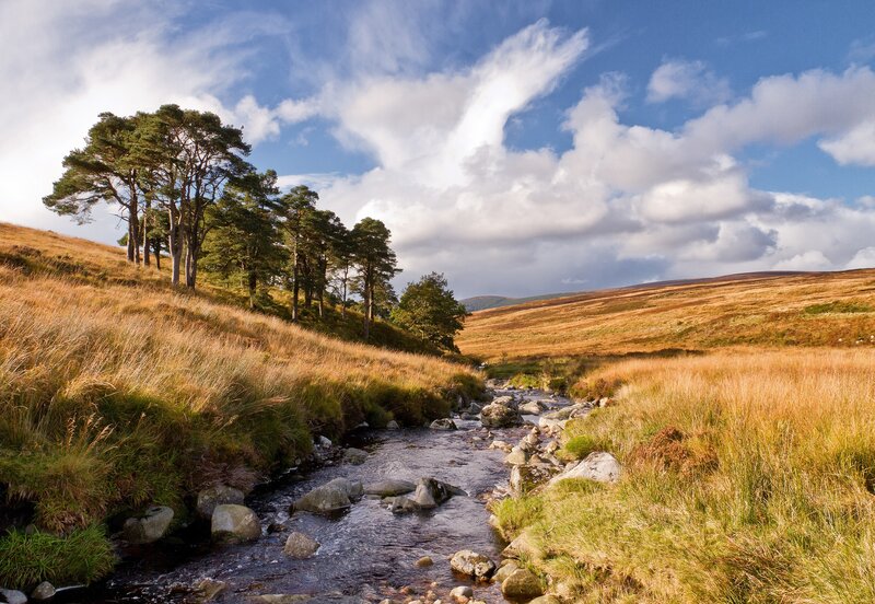 Stream in Grassy Valley — Blue