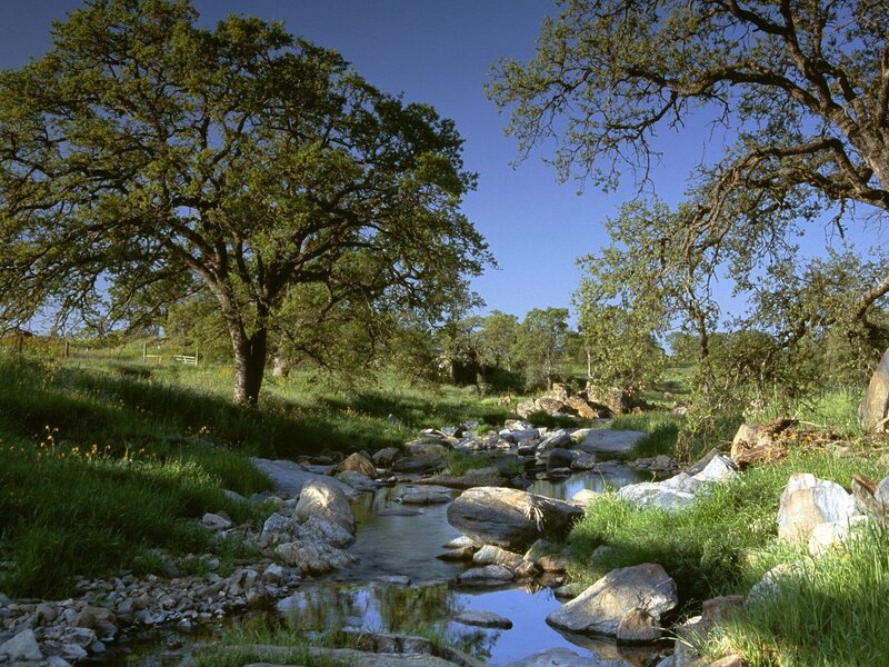 Stream in Grassy Valley — Green, Serene, Afternoon, Photograph, Trees, Rocks