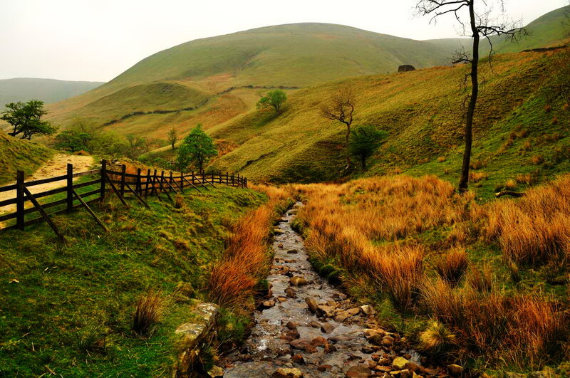 Stream in Grassy Valley — Green, Serene