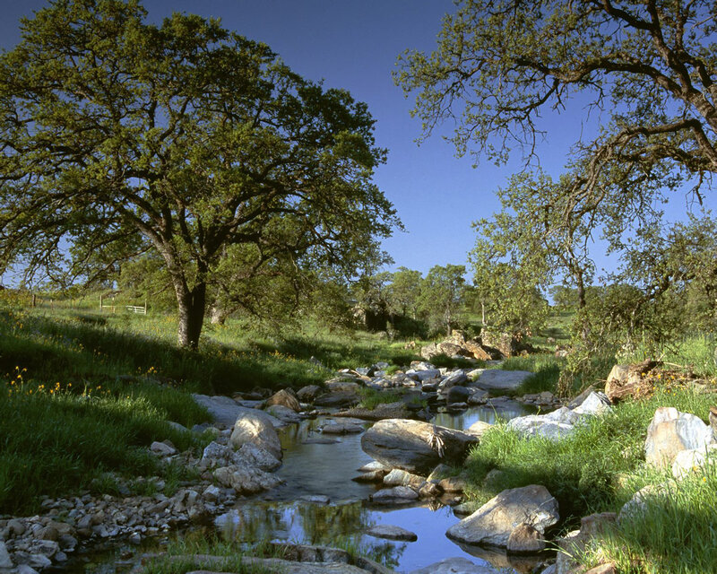 Stream in Grassy Valley — Green