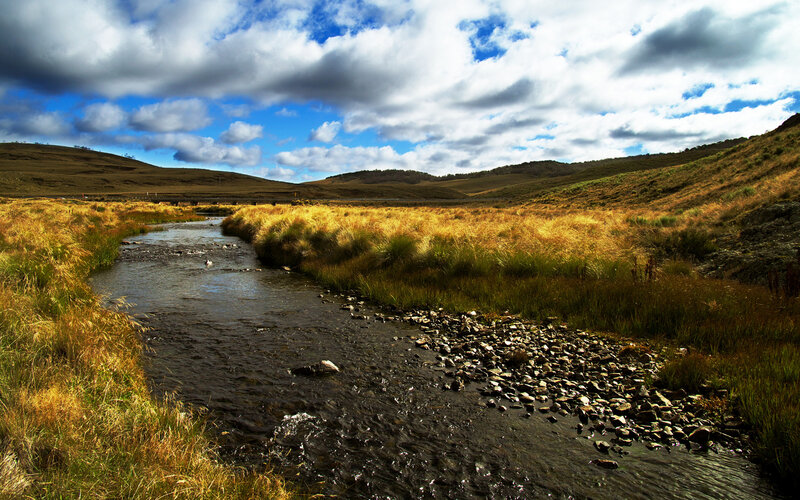 Stream in Grassy Valley