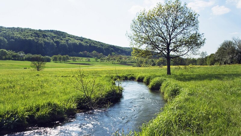 Stream in Green Field — Serene, Afternoon, Photograph, Tree, Hill, Blue, White