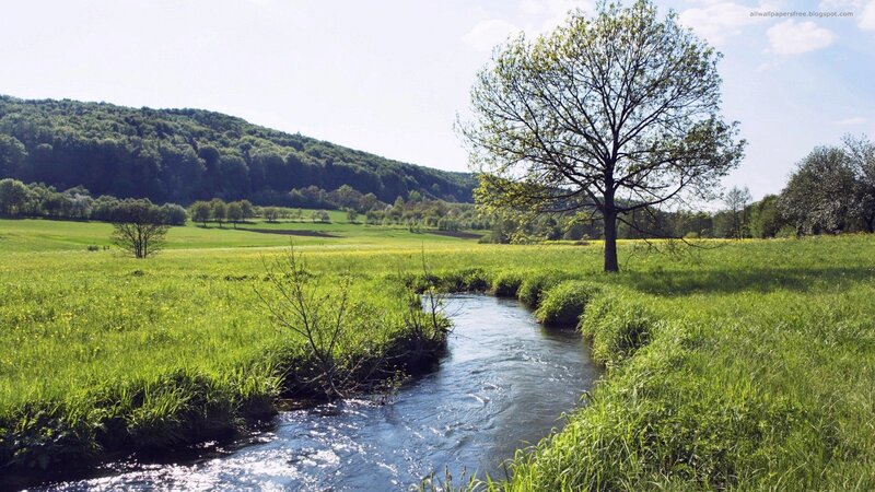 Stream in Green Field — Serene, Afternoon