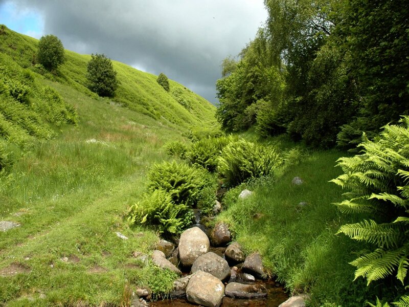 Stream in Green Valley — Dramatic