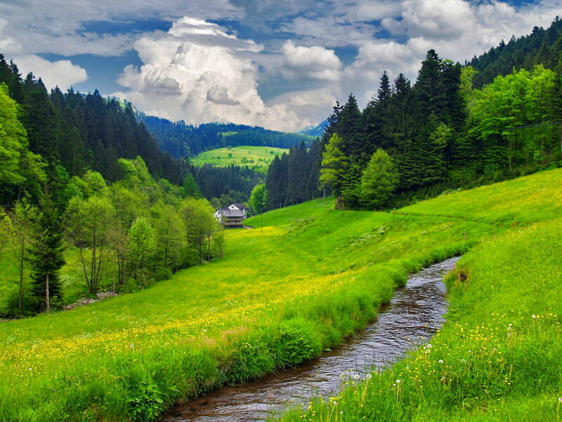 Stream in Green Valley — Serene, Afternoon, Photograph
