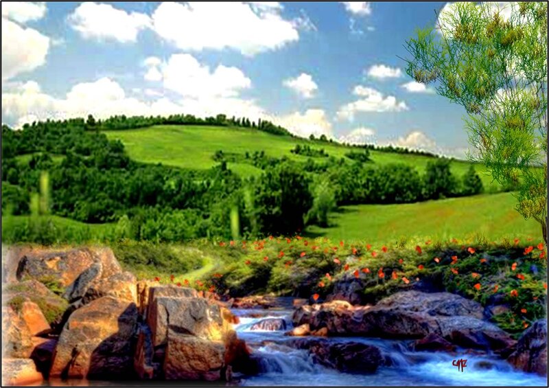 Stream in Green Valley — Serene, Afternoon