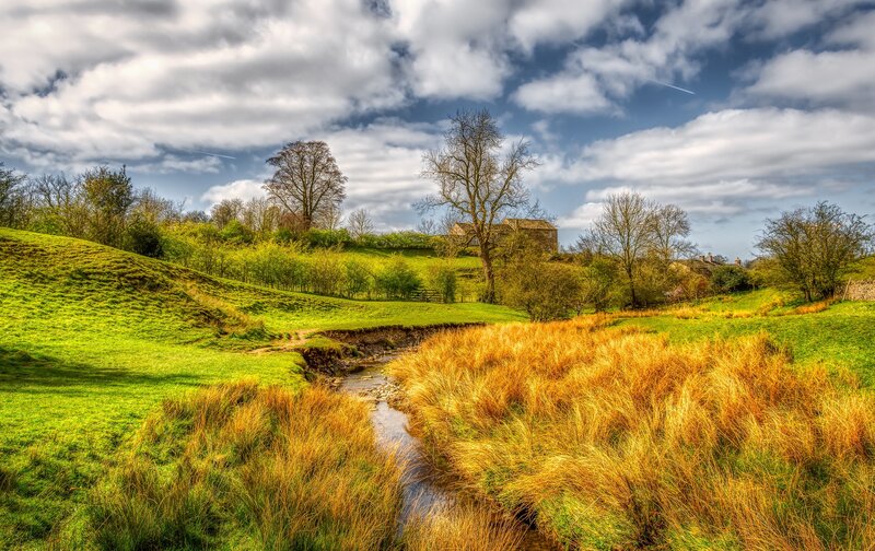Stream in Green Valley — Serene, Autumn