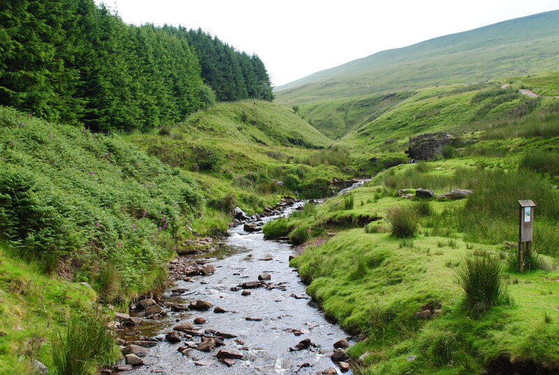 Stream in Green Valley — Serene