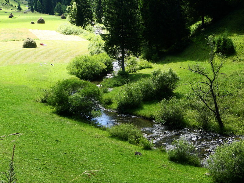 Stream in Green Valley