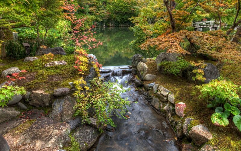 Stream in Japanese Garden