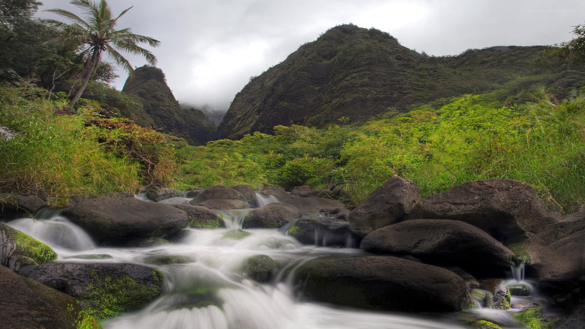 Stream in lush valley
