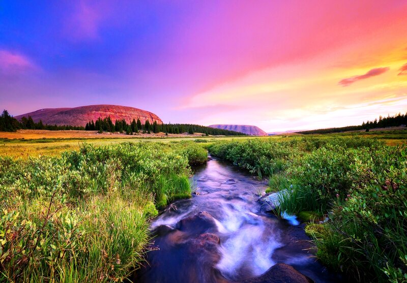 Stream in Meadow — Purple