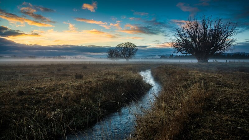 Stream in Misty Field