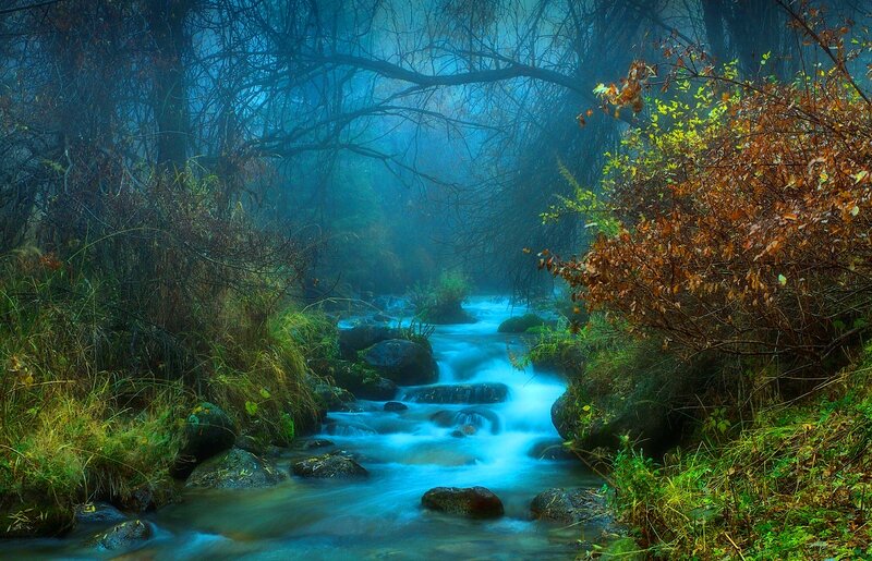 Stream in Misty Forest — Blue