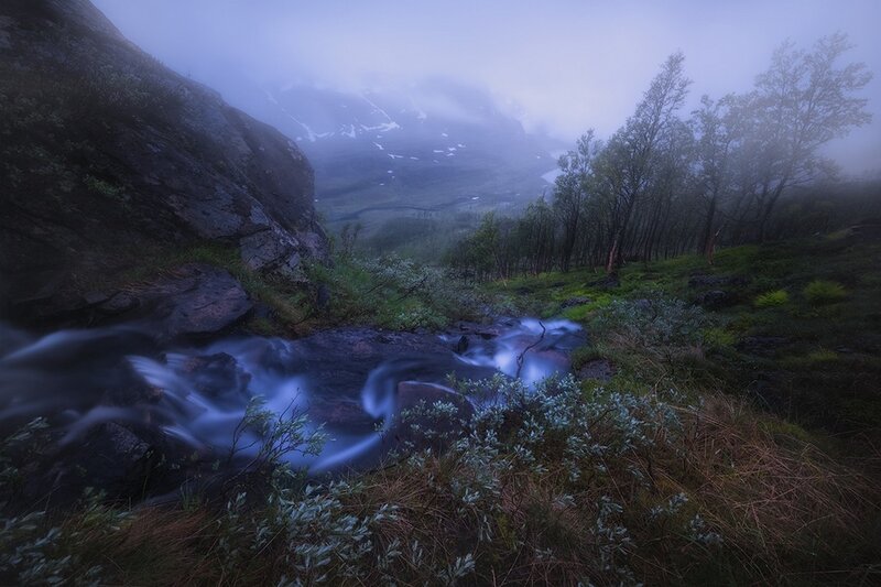 Stream in Misty Valley