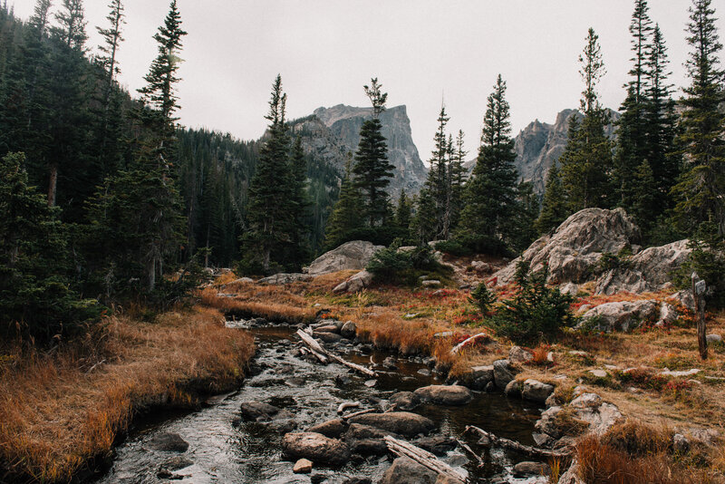Stream in Mountain Forest — Green