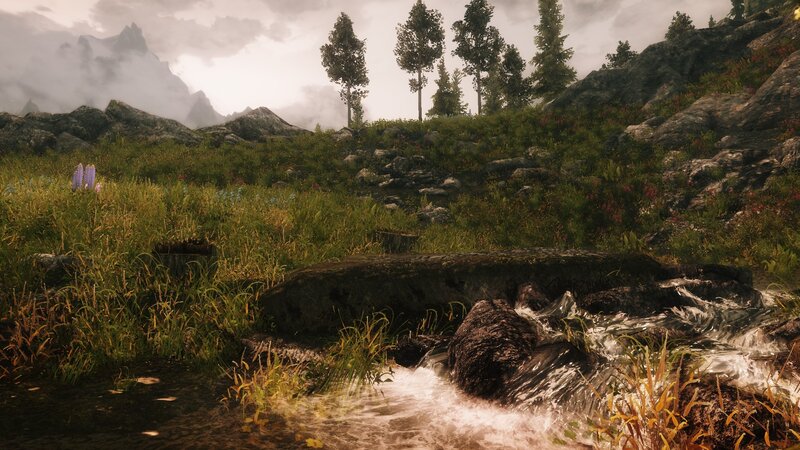 Stream in Mountain Valley — Green, Serene, 3d Render