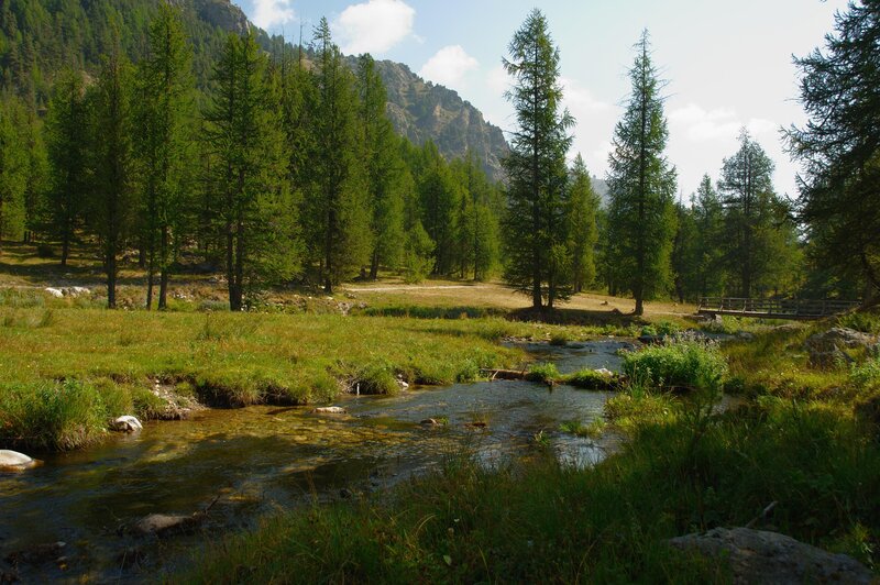 Stream in Mountain Valley — Green, Serene, Afternoon, Photograph, Trees, Bridge