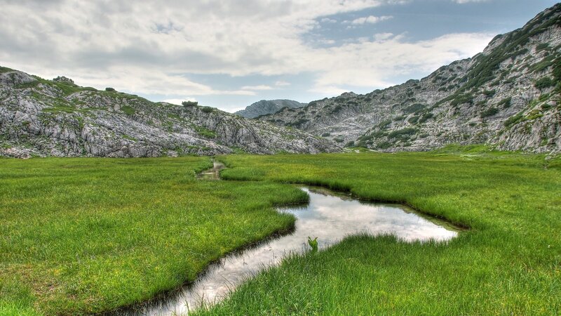 Stream in Mountain Valley — Green, Serene, Afternoon