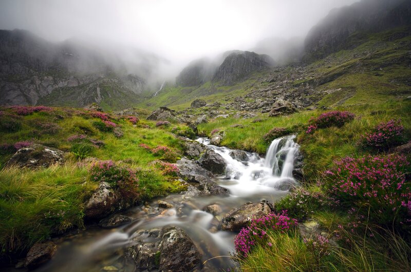 Stream in Mountain Valley — Green, Serene, Morning