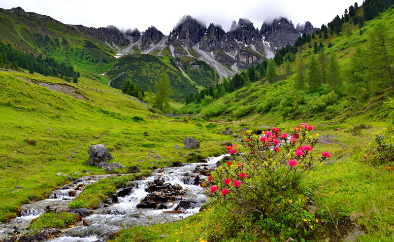 Stream in Mountain Valley — Green, Serene, Spring, Photograph