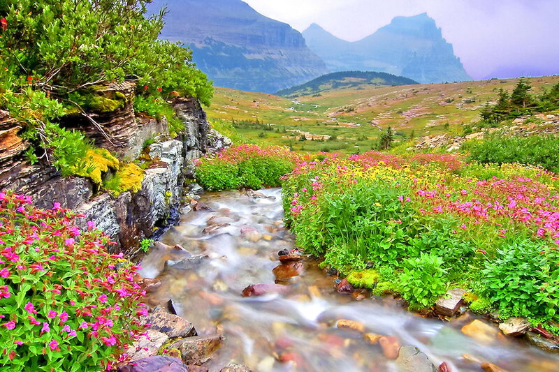 Stream in Mountain Valley — Green, Serene, Summer, Photograph, Flowers, Mountains