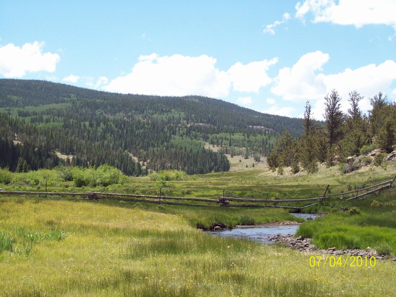 Stream in Mountain Valley — Green, Serene, Summer, Photograph