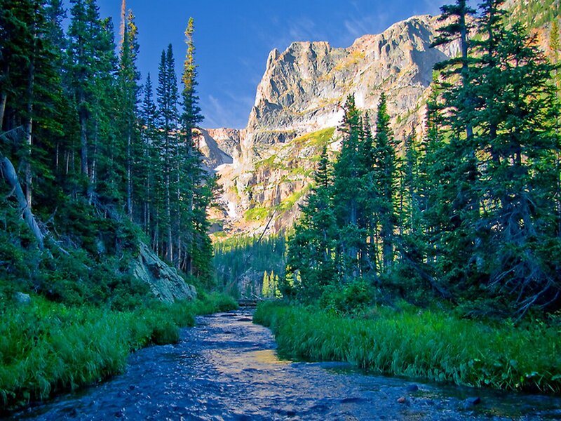 Stream in Mountain Valley — Green, Serene