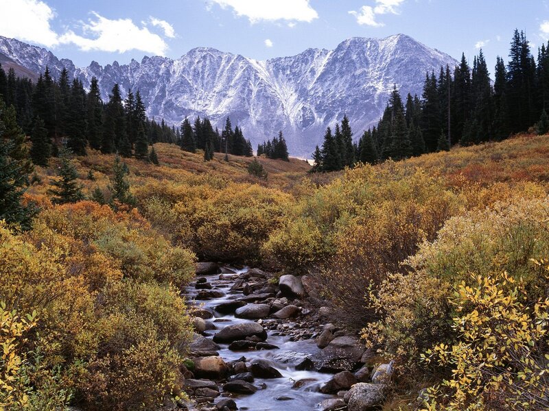 Stream in Mountain Valley — Yellow, Serene, Autumn
