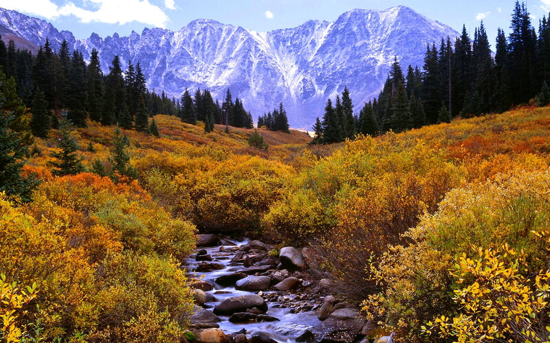 Stream in Mountain Valley — Yellow