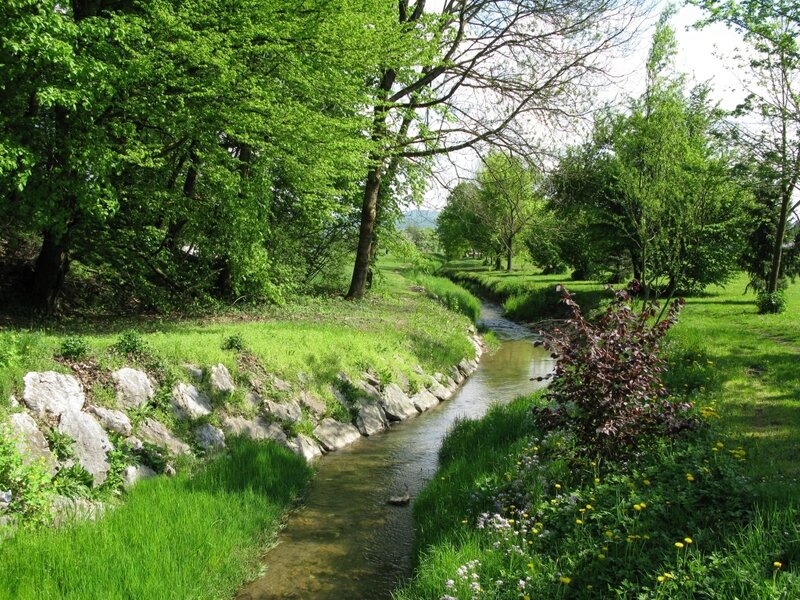 Stream in Park — Green, Serene