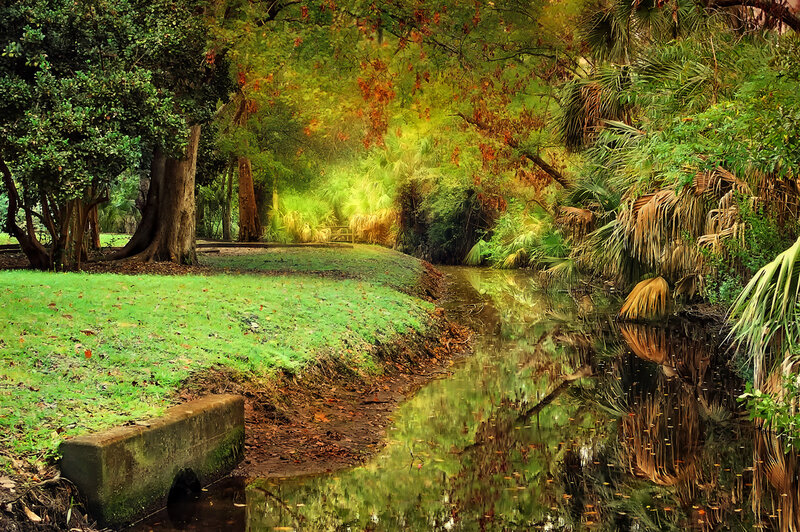 Stream in Park