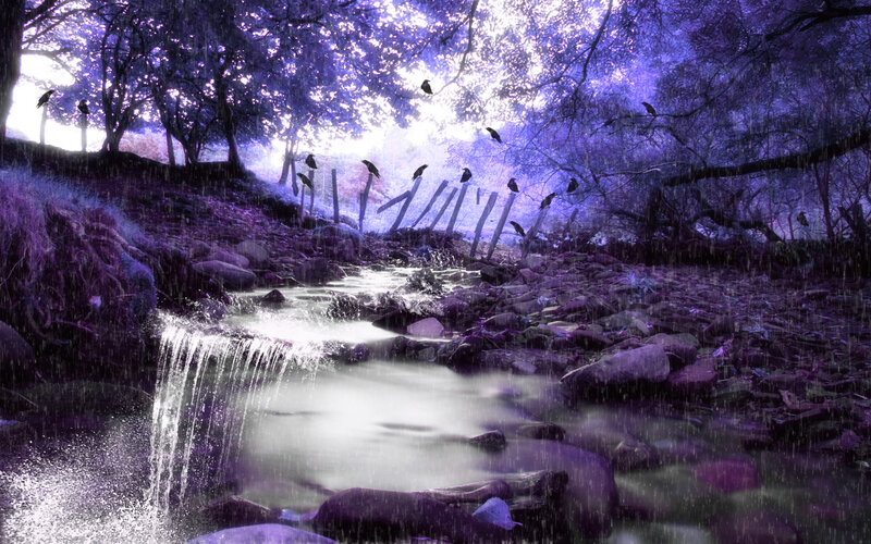 Stream in Purple Forest