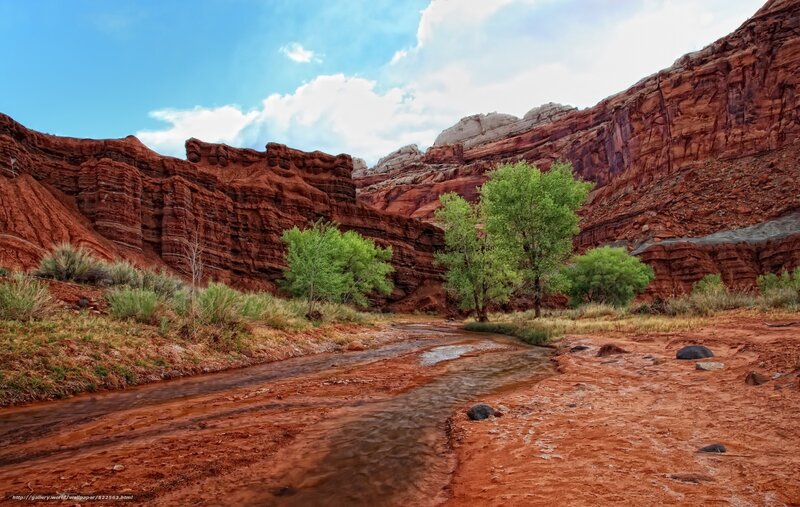 Stream in Red Canyon — Serene, Afternoon, Photograph, Trees