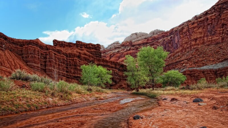 Stream in Red Canyon — Serene, Afternoon