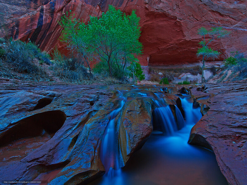 Stream in Red Canyon — Serene, Night, Photograph, Trees